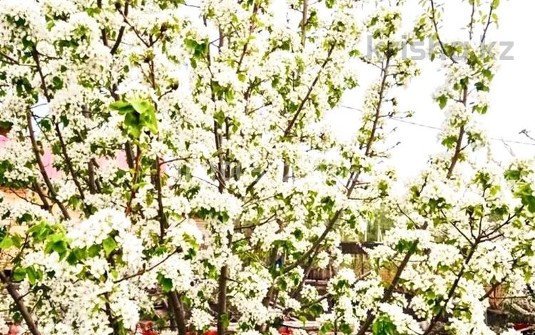 Отдельный дом · 3 комнаты · 46.9 м² · 5.19 сот., Переулок 9 1 — Пересечение переулка с улицей Молодой Гвардии за 12.5 млн 〒 в Рудном — фото 10