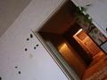 Отдельный дом · 3 комнаты · 107 м² · 20 сот., Заречная 2 — Магазин Центральный и почта за 11.5 млн ₸ в Черемшанке — фото 8