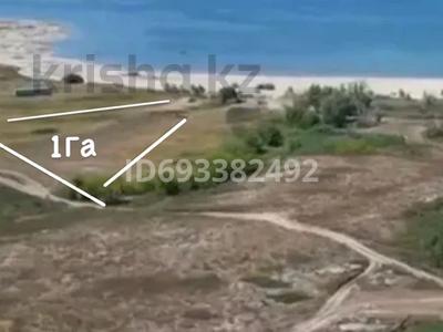Участок · 1 га, Алтайка — Море за 20 млн ₸