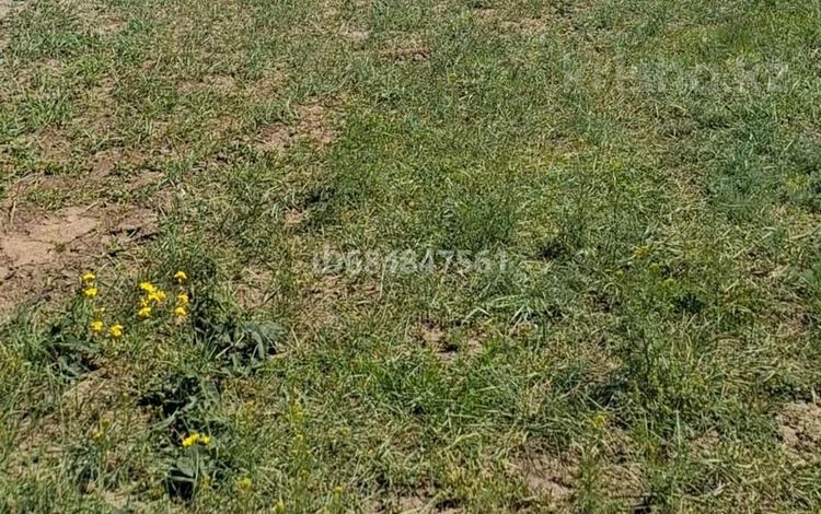 Жер телімі · 3 га, Село Жибек Жолы, бағасы: 27 млн ₸ в Жибек Жолы — фото 2