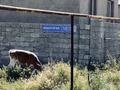 Участок · 10 соток, мкр Жанаталап — Акшатоган за 5.5 млн ₸ в Шымкенте, Туран р-н — фото 6
