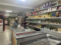 Магазины и бутики • 154 м² за 55 млн 〒 в Павлодаре — фото 2