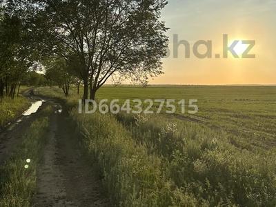Участок · 18.6 га, Исаево за 5 млн ₸