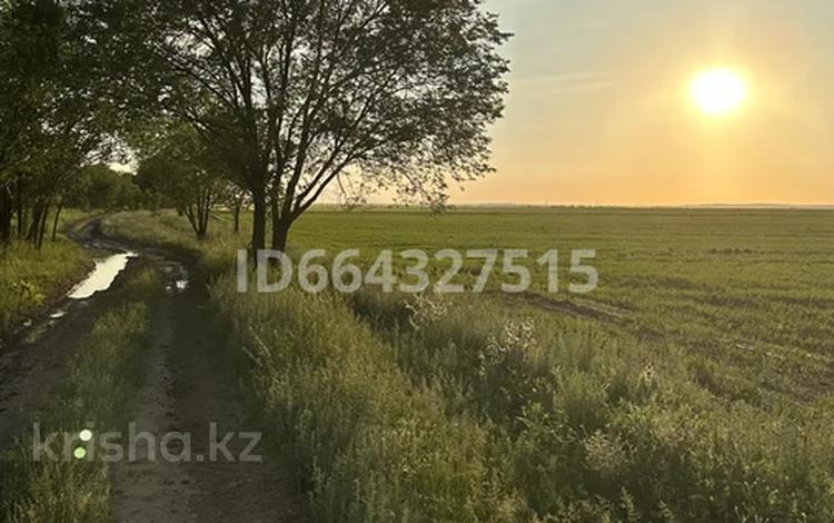 Участок · 18.6 га, Исаево за 5 млн ₸ — фото 18