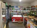 Магазины и бутики · 95 м² за 39 млн ₸ в Кабанбае Батыра — фото 7