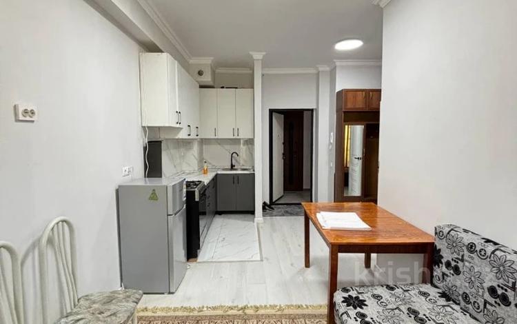 1-бөлмелі пәтер · 32.5 м² · 1/3 қабат, Устирт, бағасы: 21.5 млн ₸ в Иргели — фото 4