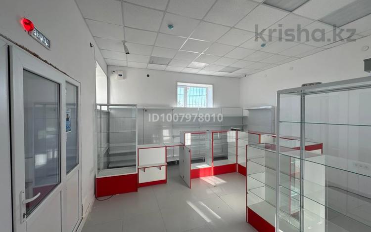 Свободное назначение, офисы, магазины и бутики, склады, общепит, салоны красоты, медцентры и аптеки, образование, развлечения · 48 м² за ~ 18.3 млн ₸ в Астане, Нура р-н — фото 2