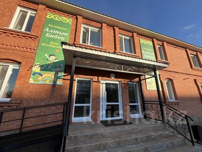 Алтын бебек · 2500 м² за 300 млн 〒 в Рудном