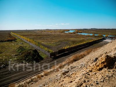 Участок · 1.01 га, Косшы за 100 млн 〒