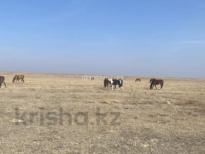 Участок · 260 га, Конаев за 44 млн 〒