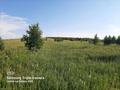 Сельское хозяйство • 1500 м² за 350 млн 〒 в Восточно-Казахстанской обл. — фото 9