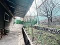 Дача · 4 комнаты · 80 м² · 8.4 сот., Виноградная за 30 млн ₸ в Кыргауылдах — фото 19