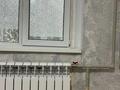 2-бөлмелі пәтер · 41 м² · 3/4 қабат, мкр Сайран — С БОЛЬШОЙ КУХНЕЙ/ Мата Залка-Абая, бағасы: ~ 28 млн ₸ в Алматы, Ауэзовский р-н — фото 3