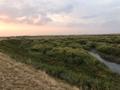 Участок · 0.7 га, Село Ракымжан Кошкарбаева за 30 млн 〒 в Акмолинской обл. — фото 2