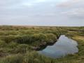Участок · 0.7 га, Село Ракымжан Кошкарбаева за 30 млн 〒 в Акмолинской обл. — фото 3