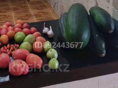 Дача · 4 комнаты · 53.12 м² · 5.1 сот., Цветочная — Алма за 5.3 млн 〒 в Кокшетау