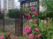 2-бөлмелі пәтер · 65 м² · 10/10 қабат, Қадыр Мырза-Әли ш/а. 17, бағасы: 26 млн ₸ в Уральске, мкр Кадыра Мырза-Али