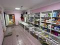 Магазины и бутики · 95 м² за 250 000 ₸ в Уральске — фото 4