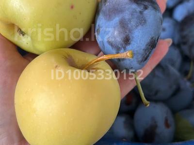 Дача · 2 комнаты · 50 м² · 9 сот., мкр Аксай, С/о Кайыршахтинский уч 31 — Садовое общество Нефтяник Уч.31 за 10.5 млн 〒 в Атырау