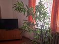 2-комнатная квартира · 43 м² · 1/2 этаж, ул. Аргымак 34 за 10 000 ₸ в Алматы, Жетысуский р-н — фото 4
