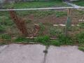 Отдельный дом · 2 комнаты · 55 м² · 6 сот., Аузэва дом² квартира⁴ — Дом находиться сахзаводе возле фиркан ездиет маршрут 32.27.9.7 рядом базарчик за 10 млн 〒 в Таразе