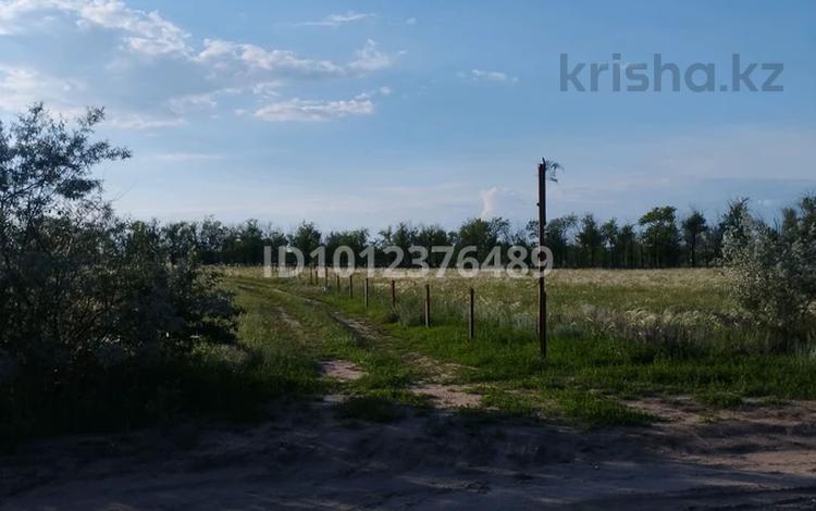 Участок · 1 га, СК Акжар-Плюс за 10 млн ₸ в Актобе — фото 2