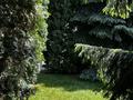 Дом · 9 комнат · 350 м², мкр Мирас — Кенессары хана за 350 000 ₸ в Алматы, Бостандыкский р-н — фото 63