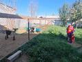Жеке үй · 4 бөлме · 150 м² · 7.5 жүзд., Баянсулуу 116, бағасы: 17 млн ₸ в Жетысае — фото 15