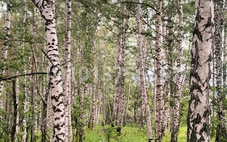 Участок · 7 соток, Медеуский р-н за 9 млн ₸ в Алматы — фото 2