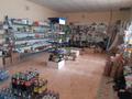 Магазины и бутики • 168 м² за 20 млн 〒 в Форте-шевченко — фото 4