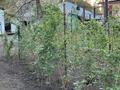 Отдельный дом · 3 комнаты · 64 м² · 7 сот., мкр Горный Гигант, Иванилова 7 — Пересечение Нурлыбаева-Иванилова за 220 млн ₸ в Алматы, Медеуский р-н — фото 4