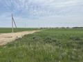 Участок · 50 соток, Трасса р-19 19 за 12.5 млн ₸ в Караой