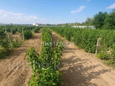 Участок · 3.7 га, Али за 250 млн 〒