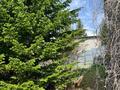 Саяжай · 3 бөлме · 120 м² · 6 сот., ГЭС — Гэс Авиатор, бағасы: 6.5 млн ₸ в Усть-Каменогорске — фото 24