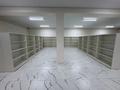 Отдельный дом · 10 комнат · 450 м², 2 квартал 83 за 2 млн 〒 в Кемертогане — фото 8