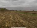 Участок · 2.48 га, ул. Жанакурылыс за 250 млн 〒 в Узынагаш — фото 2