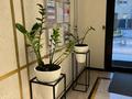 1-комнатная квартира · 52 м² · 6/12 этаж, Тулебаева 49/1 — Гоголя за 23 000 ₸ в Алматы, Медеуский р-н — фото 19