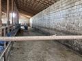 Ауыл шаруашылығы · 800 м², бағасы: 45 млн ₸ в  — фото 14