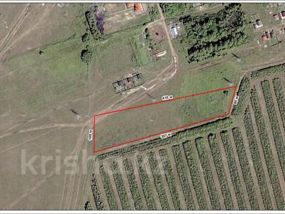 Участок · 3.5 га, Костомар за 20 млн ₸