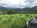 Участок · 3.3 га, Бескайнар (Горный Садовод) за 95 млн ₸ — фото 3