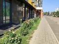 1-комнатная квартира · 31 м² · 7/10 этаж, мкр Тастак-2, Карасай батыра 326 за 300 000 ₸ в Алматы, Алмалинский р-н — фото 20