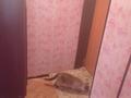 2-бөлмелі пәтер · 42 м² · 1/2 қабат, Проезд Труда. 5 — За бывшем элеватором "Колос"., бағасы: 6.1 млн ₸ в Петропавловске — фото 9