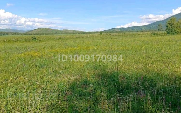 Участок · 3.3 га, Катон-Карагай за 13 млн 〒 — фото 2