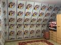 Отдельный дом · 10 комнат · 420 м² · 8 сот., мкр Шанырак-1 22 — Улица Маркаколь 22 за 1.8 млн ₸ в Алматы, Алатауский р-н — фото 19