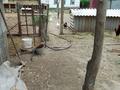 Отдельный дом · 4 комнаты · 60 м² · 9 сот., Калтаева — Макашева за 28 млн ₸ в Каскелене — фото 4