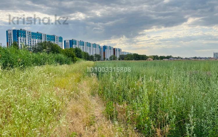 Участок · 1 га, Бесагаш за 650 млн 〒 — фото 2