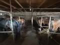 Жеке үй · 5 бөлме · 280 м² · 16 жүзд., Уалиханова 24, бағасы: 70 млн ₸ в Акши (Енбекшиказахском районе) — фото 12