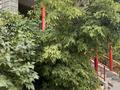 3-бөлмелі пәтер · 119.8 м² · 11 қабат, мкр. Алтын орда, Сатбаева 5Б, бағасы: 40 млн ₸ в Актобе — фото 17