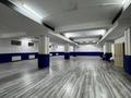 Еркін, дүкендер мен бутиктер · 2867 м², бағасы: 1.2 млрд ₸ в Шымкенте, Аль-Фарабийский р-н — фото 22