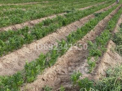 Участок · 154 га, Есбол (Кулагино) за 450 млн ₸